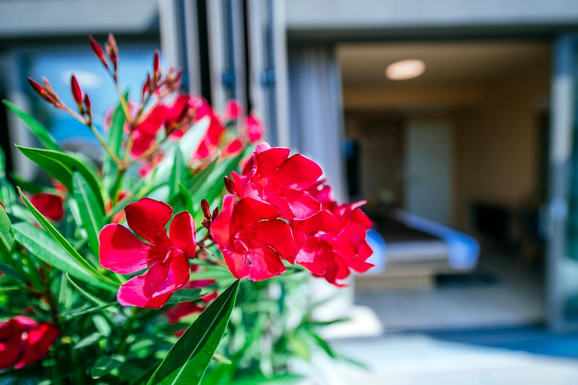 Dedaj Resort - Villa Auri Zadar Cameră foto
